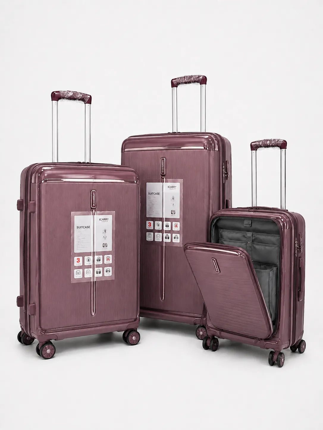 Premium ICARRY Italy luggage bag showing smart storage sections